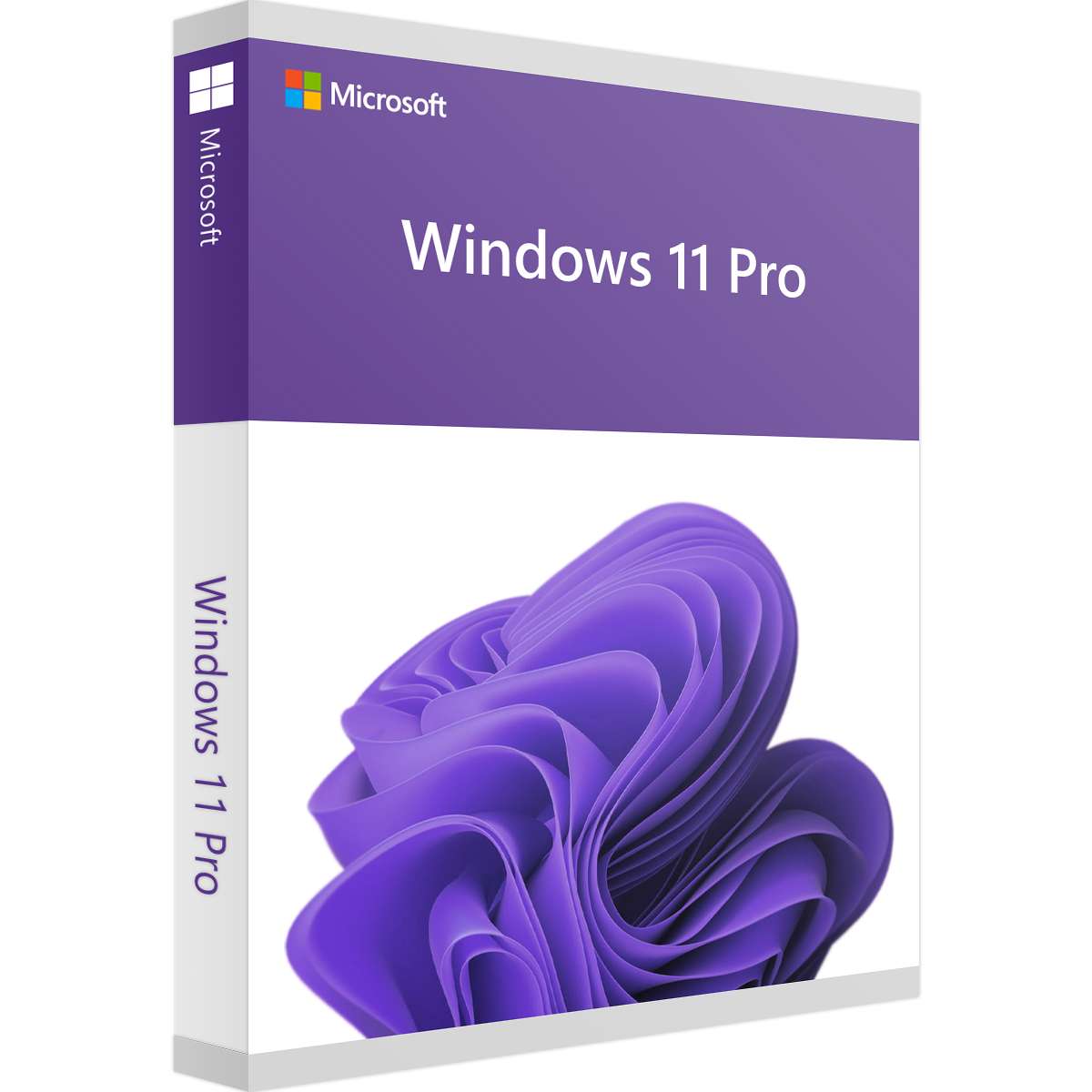 Windows 11 Professional License Key – Instant Download | Lizenzpro